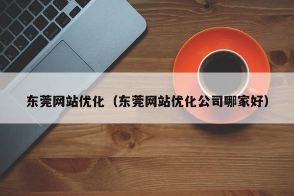 东莞网站优化（东莞网站优化公司哪家好）