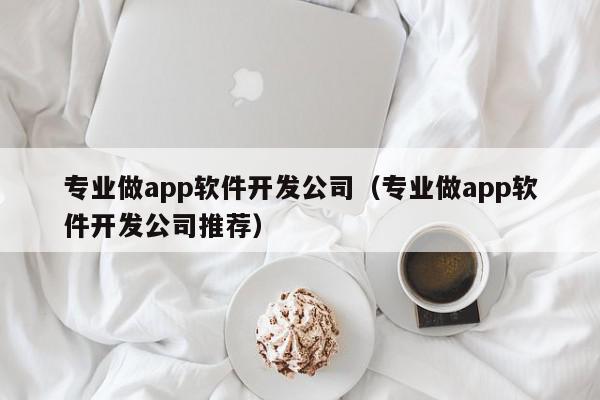 专业做app软件开发公司（专业做app软件开发公司推荐）