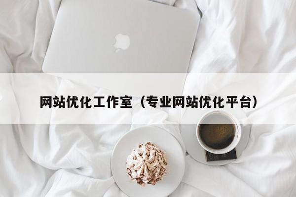 网站优化工作室（专业网站优化平台）