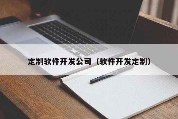 定制软件开发公司（软件开发定制）