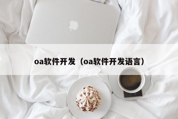 oa软件开发（oa软件开发语言）