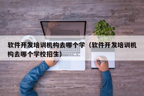 软件开发培训机构去哪个学（软件开发培训机构去哪个学校招生）