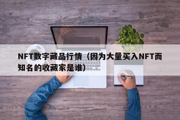 NFT数字藏品行情（因为大量买入NFT而知名的收藏家是谁）