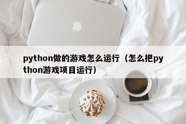 python做的游戏怎么运行（怎么把python游戏项目运行）